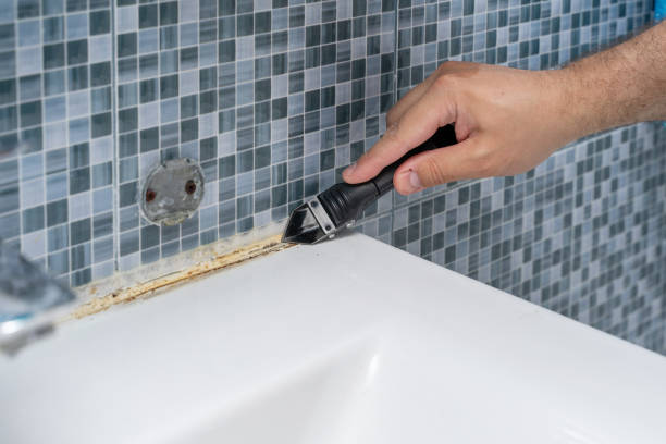 Best Certified Mold Removal  in Poland, OH
