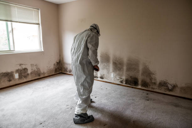 Best Residential Mold Removal  in Poland, OH